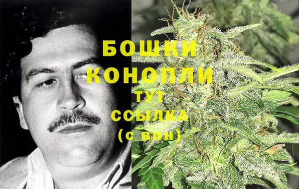 спиды Осташков